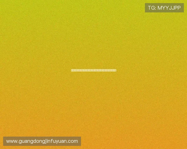 一号娱乐有限公司深度解析世界杯比赛背后的故事与明星球员风采